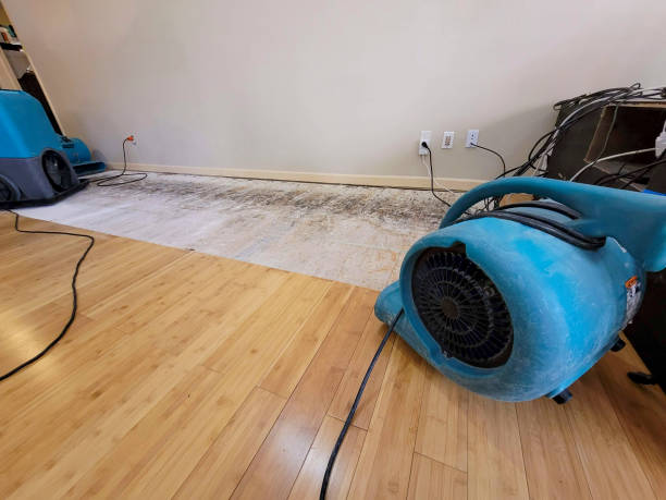Professional Flood Damage Cleanup technician working in Richland, MS